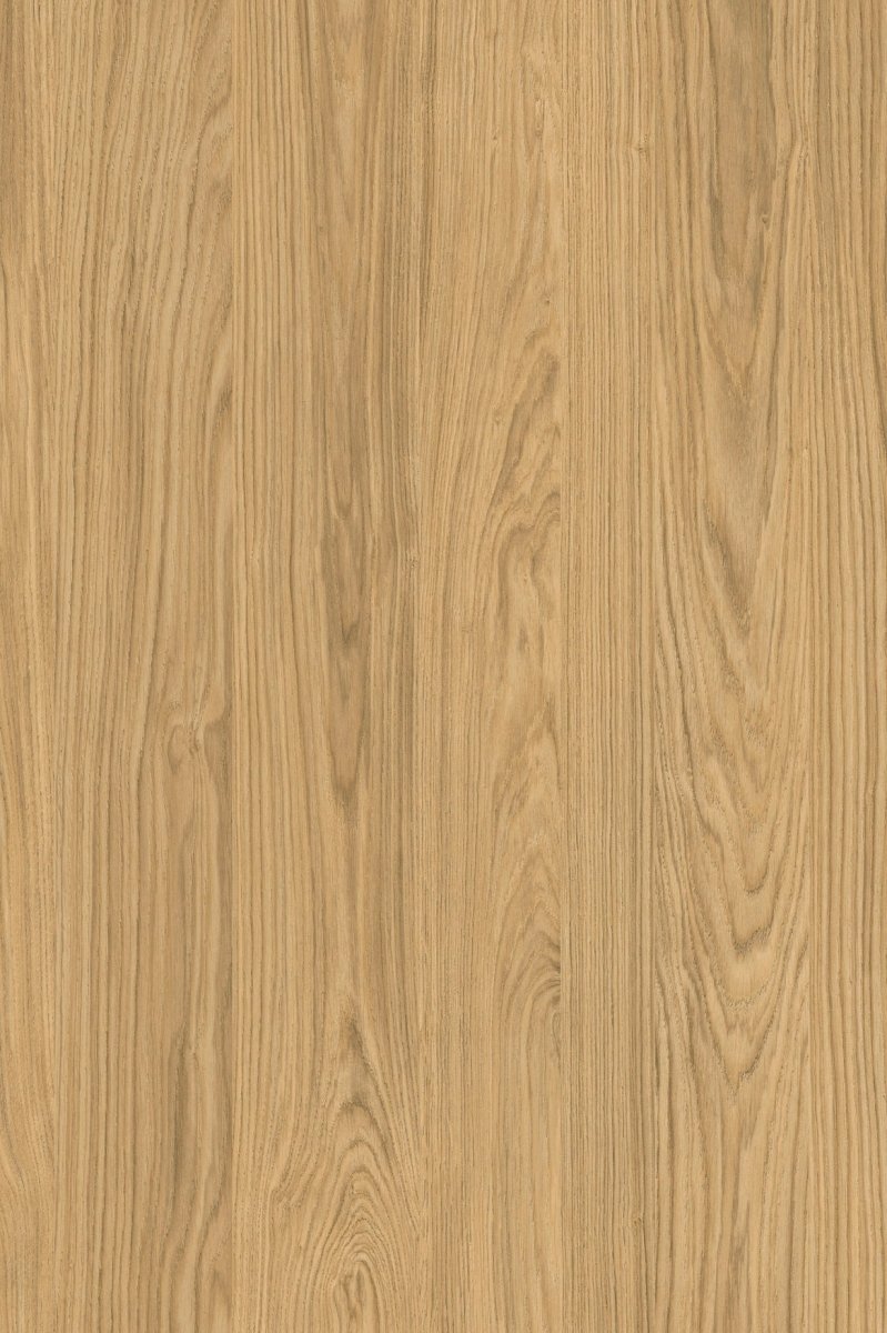 neoLEAF - Goldeiche - aksesuardesign